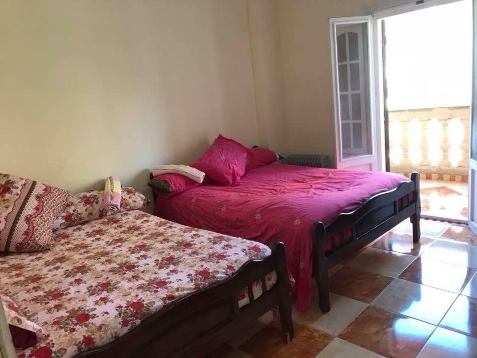 Cozy New 2 Bd Amazing Beach View Next To Hilton Hotel Family Only !العائلات فقط Александрия Екстериор снимка
